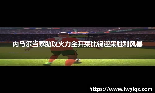 NG体育平台