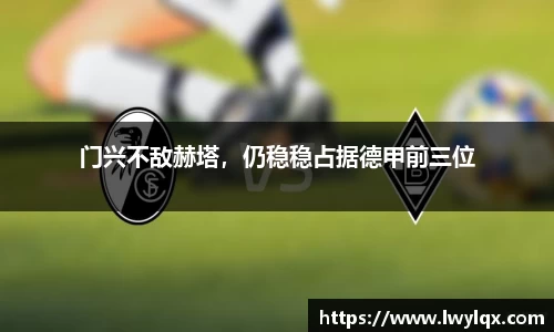 NG体育平台