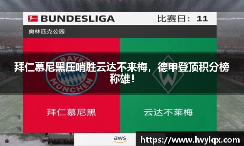 NG体育官网